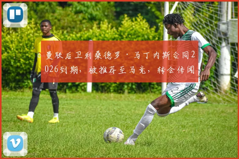 曼联后卫利桑德罗·马丁内斯合同2026到期，被推荐至马竞，转会传闻与球员现状深度剖析